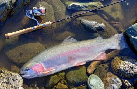 大物を５匹キャッチ！ ～天竜川ルアーフライテンカラ専用区～